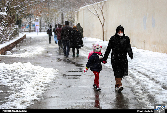 گزارش تصویری / بارش برف در مشهد / عکس : علی عبداللهی /شهرآرا