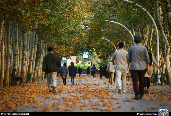 جلوه‌های پاییز در پارک ملت/ حسین شریعت