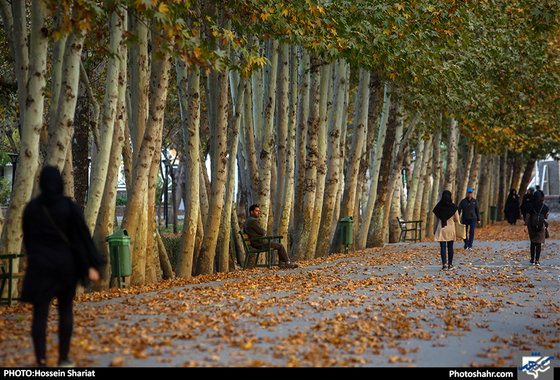 جلوه‌های پاییز در پارک ملت/ حسین شریعت 