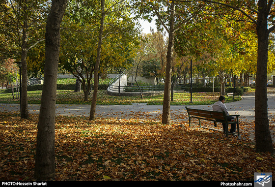 جلوه‌های پاییز در پارک ملت/ حسین شریعت