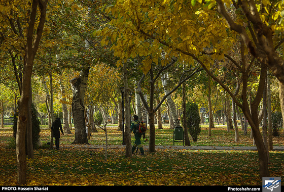جلوه‌های پاییز در پارک ملت/ حسین شریعت