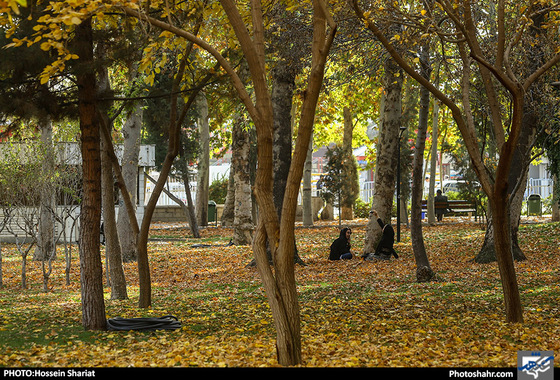 جلوه‌های پاییز در پارک ملت/ حسین شریعت