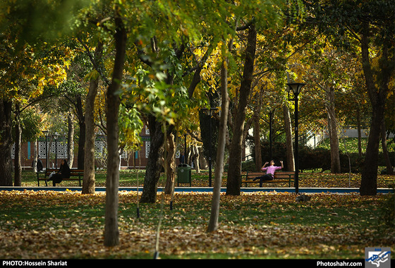 جلوه‌های پاییز در پارک ملت/ حسین شریعت
