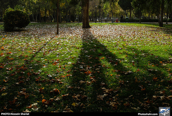 جلوه‌های پاییز در پارک ملت/ حسین شریعت