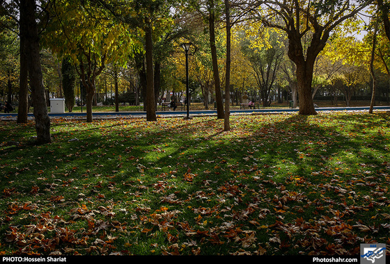 جلوه‌های پاییز در پارک ملت/ حسین شریعت