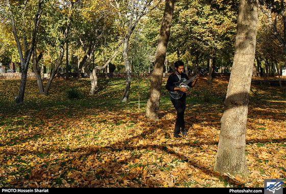 جلوه‌های پاییز در پارک ملت/ حسین شریعت