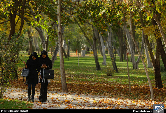 جلوه‌های پاییز در پارک ملت/ حسین شریعتطبیعت پاییزجلوه‌های پاییز در پارک ملت/ حسین شریعت /پارک ملت /طبیعت پاییز