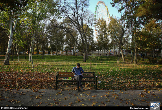 جلوه‌های پاییز در پارک ملت/ حسین شریعت