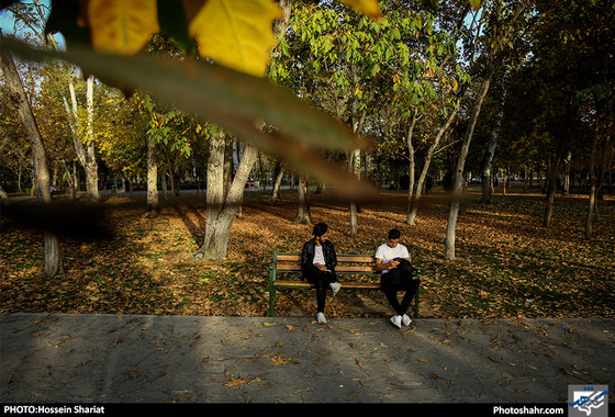 جلوه‌های پاییز در پارک ملت/ حسین شریعت