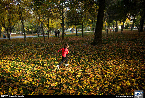 جلوه‌های پاییز در پارک ملت/ حسین شریعت