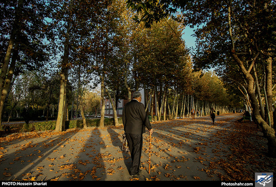جلوه‌های پاییز در پارک ملت/ حسین شریعت