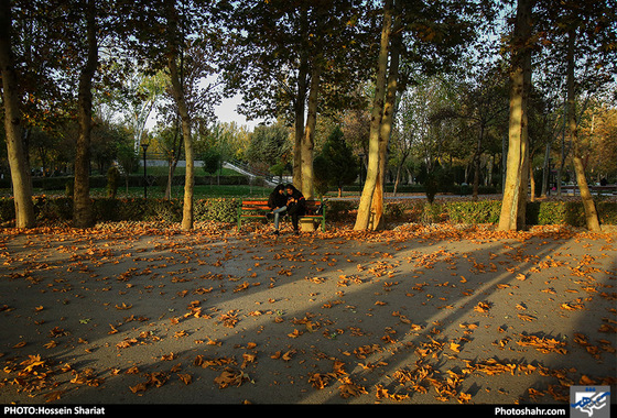 جلوه‌های پاییز در پارک ملت/ حسین شریعت