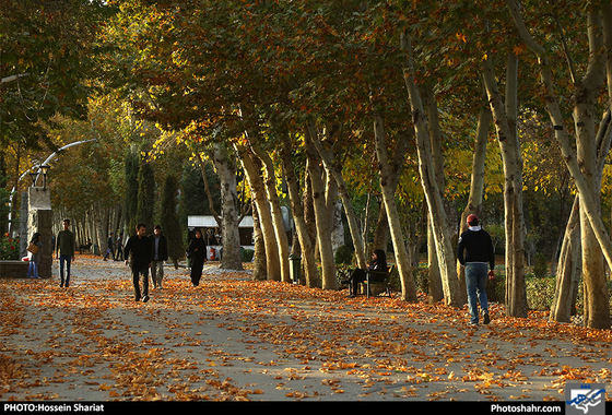 جلوه‌های پاییز در پارک ملت/ حسین شریعت