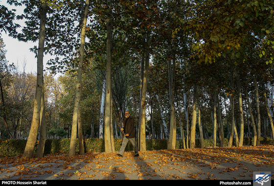 جلوه‌های پاییز در پارک ملت/ حسین شریعت