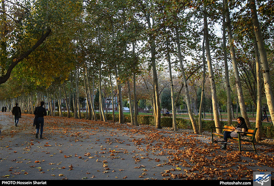 جلوه‌های پاییز در پارک ملت/ حسین شریعت