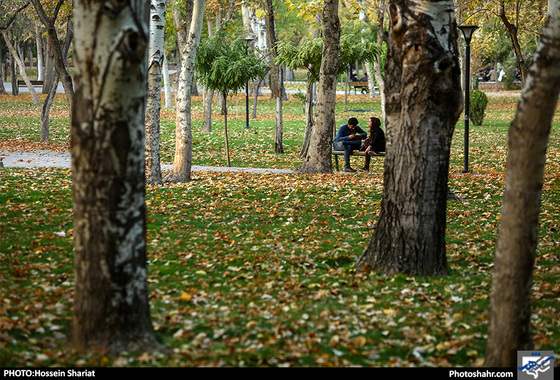 جلوه‌های پاییز در پارک ملت/ حسین شریعت