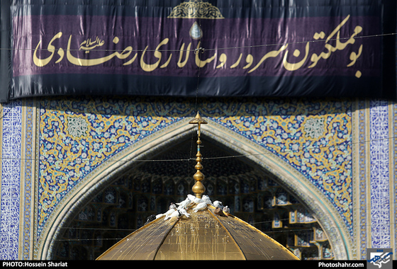 عزاداری شهادت امام رضا (ع)  / عکس: حسین شریعت / شهرآرا