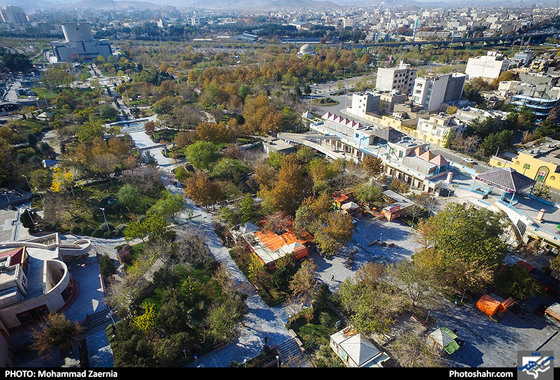 طبیعت پاییزی بوستان ملت و کوهسنگی / عکس: محمد زائرنیا / شهرآرا