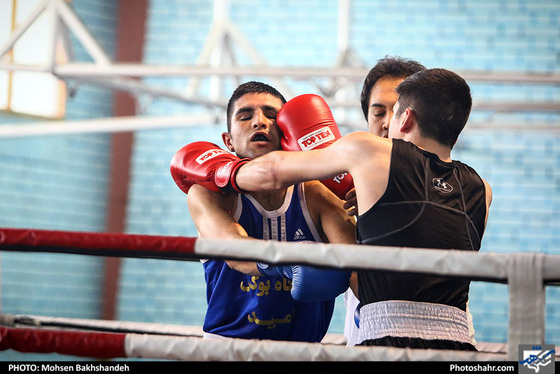 مسابقات قهرمانی بوکس در مشهد / عکس: محسن بخشنده / شهرآرا