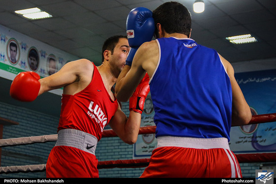 مسابقات قهرمانی بوکس در مشهد / عکس: محسن بخشنده / شهرآرا