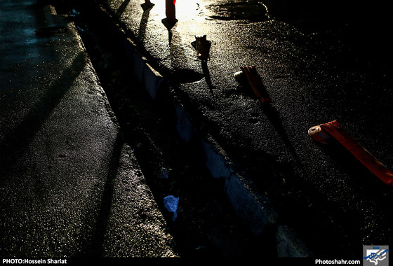 مشهد پس از باران / عکس: حسین شریعت / شهرآرا