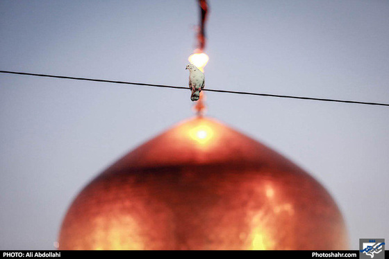 تحویل سال در حرم امام رضا (ع) / عکس: علی عبداللهی / شهرآرا