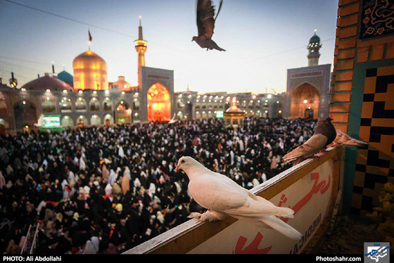 تحویل سال در حرم امام رضا (ع) / عکس: علی عبداللهی / شهرآرا