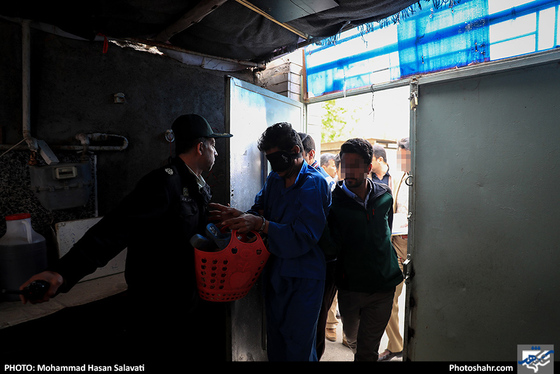 بازسازی صحنه قتل ندا / عکس: محمد حسن صلواتی / شهرآرا