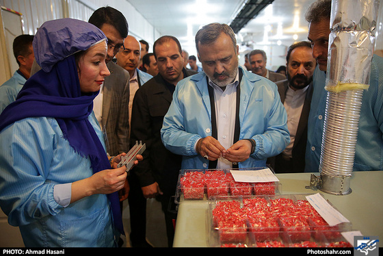 بازدید استاندار خراسان رضوی از دو واحد تولیدی / عکس: احمد حسنی / شهرآرا