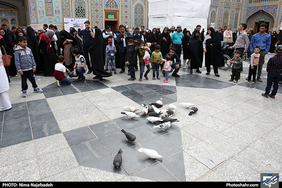 حرم مطهر امام رضا (ع) در نیمه شعبان / عکس: نیما نجف زاده / شهرآرا