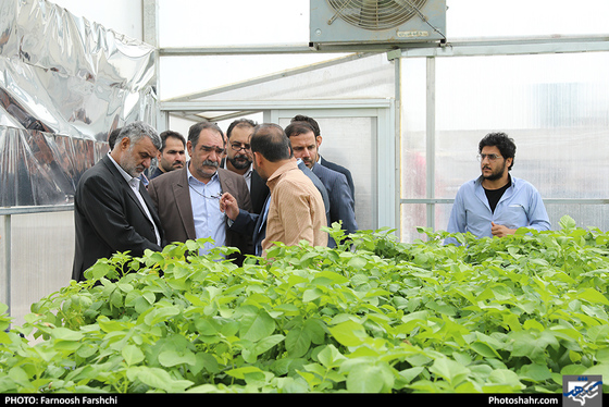  بهره برداری همزمان 39 پروژه کشاورزی خراسان رضوی / عکس: فرنوش فرشچی / شهرآرا