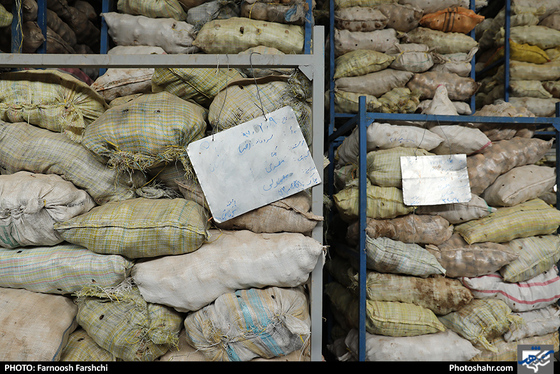  بهره برداری همزمان 39 پروژه کشاورزی خراسان رضوی / عکس: فرنوش فرشچی / شهرآرا