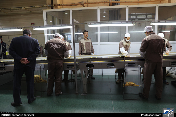  بهره برداری همزمان 39 پروژه کشاورزی خراسان رضوی / عکس: فرنوش فرشچی / شهرآرا