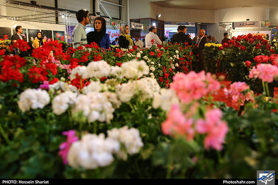 هفدهمین نمایشگاه بین المللی گل و گیاه مشهد / عکس: حسین شریعت / شهرآرا