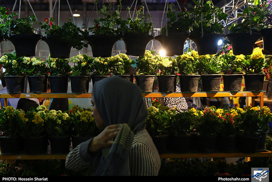 هفدهمین نمایشگاه بین المللی گل و گیاه مشهد / عکس: حسین شریعت / شهرآرا