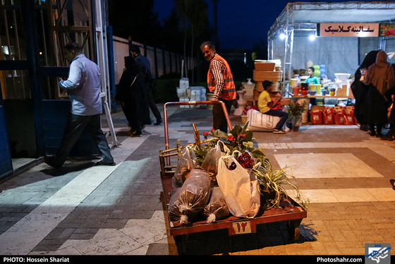 هفدهمین نمایشگاه بین المللی گل و گیاه مشهد / عکس: حسین شریعت / شهرآرا