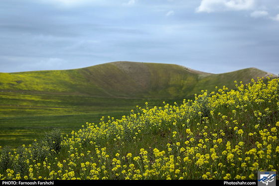 طبیعت بهاری "قله فرود" شهرستان کلات / عکس: فرنوش فرشچی / شهرآرا
