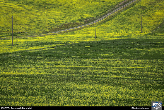 طبیعت بهاری "قله فرود" شهرستان کلات / عکس: فرنوش فرشچی / شهرآرا