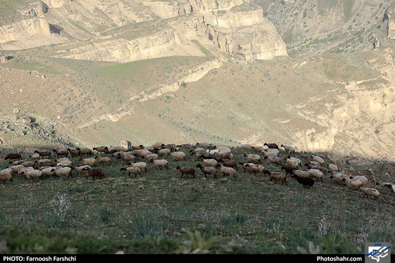 طبیعت بهاری "قله فرود" شهرستان کلات / عکس: فرنوش فرشچی / شهرآرا