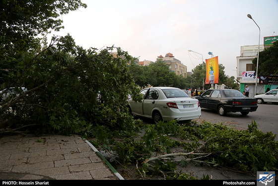 طوفان و گرد و غبار شدید در مشهد  / عکس :حسین شریعت / شهرآرا