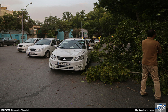طوفان و گرد و غبار شدید در مشهد  / عکس :حسین شریعت / شهرآرا