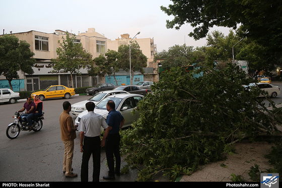 طوفان و گرد و غبار شدید در مشهد  / عکس :حسین شریعت / شهرآرا
