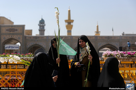 مراسم گلباران حرم مطهر رضوی در روز ولادت حضرت معصومه (سلام الله علیها) / عکس: حسین شریعت / شهرآرا