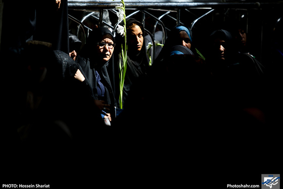 مراسم گلباران حرم مطهر رضوی در روز ولادت حضرت معصومه (سلام الله علیها) / عکس: حسین شریعت / شهرآرا