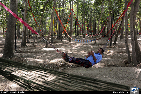 افتتاح همزمان 6 بوستان در سطح شهر / عکس: حسین شریعت / شهرآرا