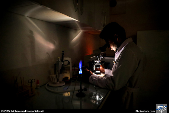 بیمارستان حیوانات / عکس: محمد حسن صلواتی / شهرآرا