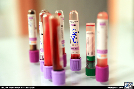 بیمارستان حیوانات / عکس: محمد حسن صلواتی / شهرآرا