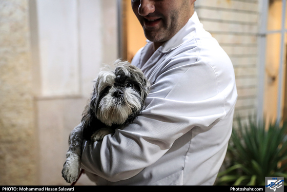 بیمارستان حیوانات / عکس: محمد حسن صلواتی / شهرآرا