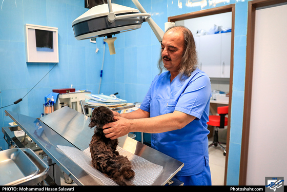 بیمارستان حیوانات / عکس: محمد حسن صلواتی / شهرآرا