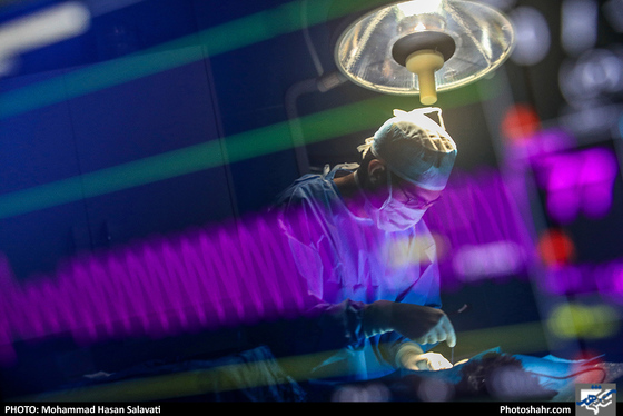 بیمارستان حیوانات / عکس: محمد حسن صلواتی / شهرآرا